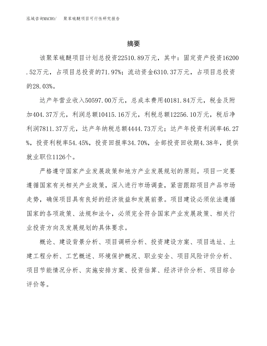 聚苯硫醚项目可行性研究报告标准模板.docx_第2页