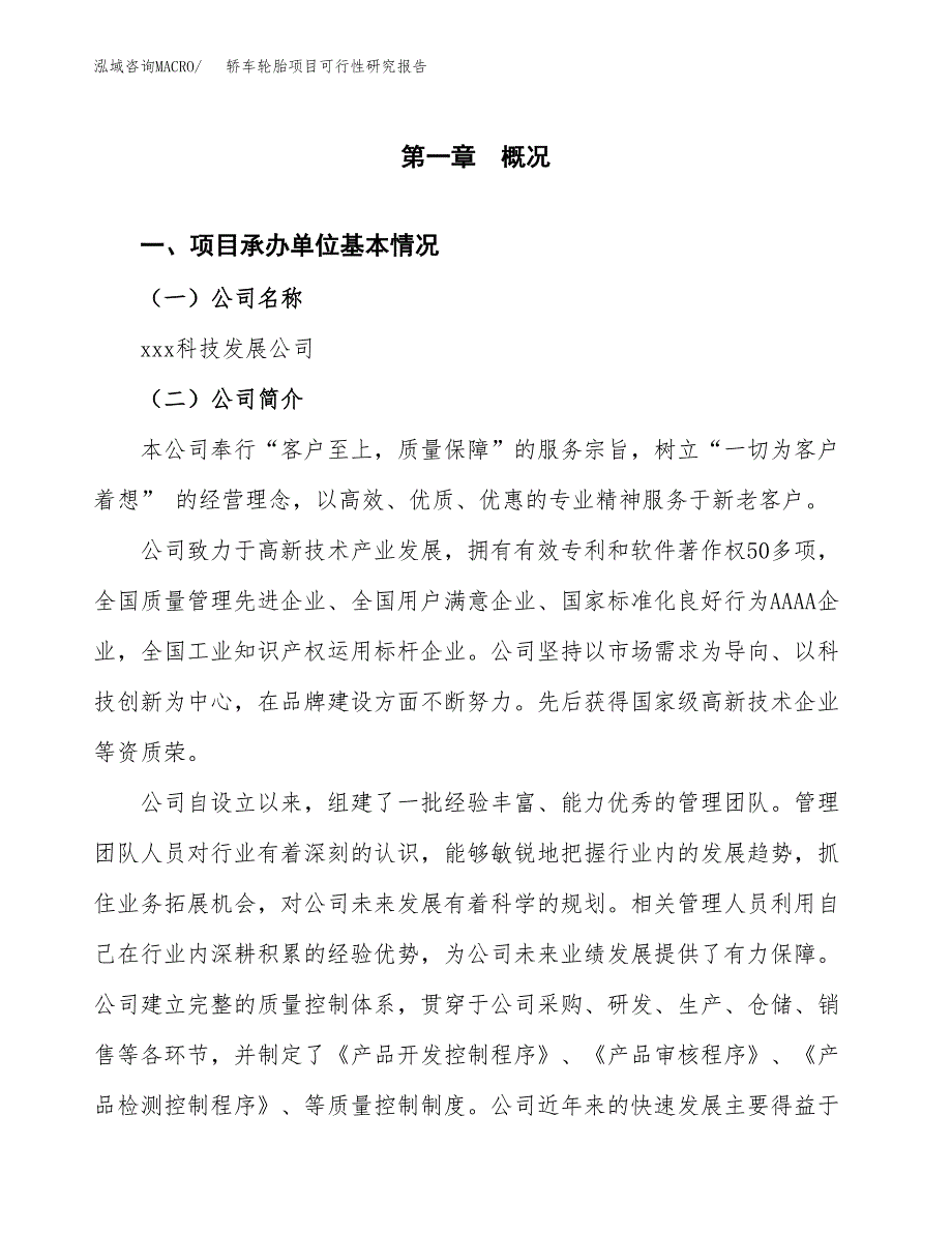 轿车轮胎项目可行性研究报告标准模板.docx_第4页