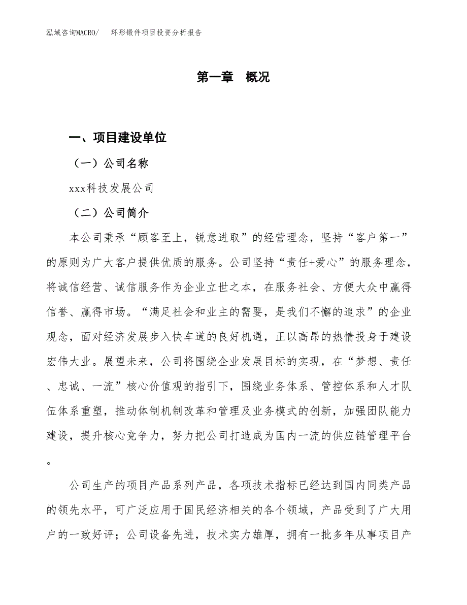 环形锻件项目投资分析报告（投融资报告）.docx_第1页