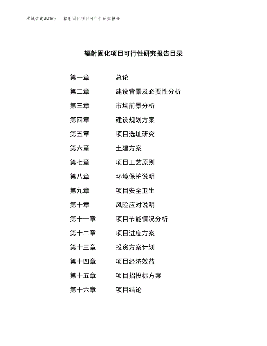 辐射固化项目可行性研究报告标准模板.docx_第3页