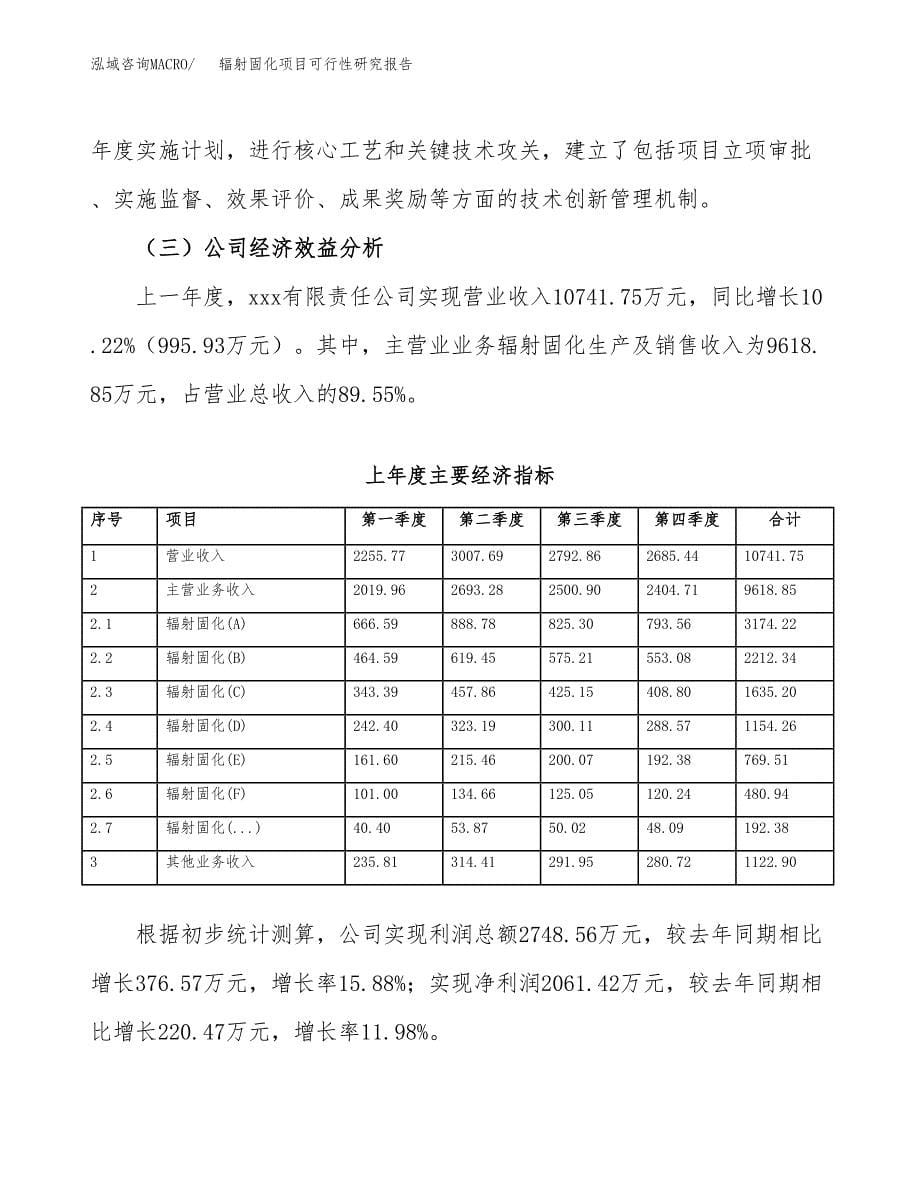 辐射固化项目可行性研究报告标准模板.docx_第5页