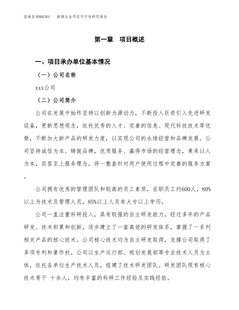 铍铜合金项目可行性研究报告标准模板.docx_第4页