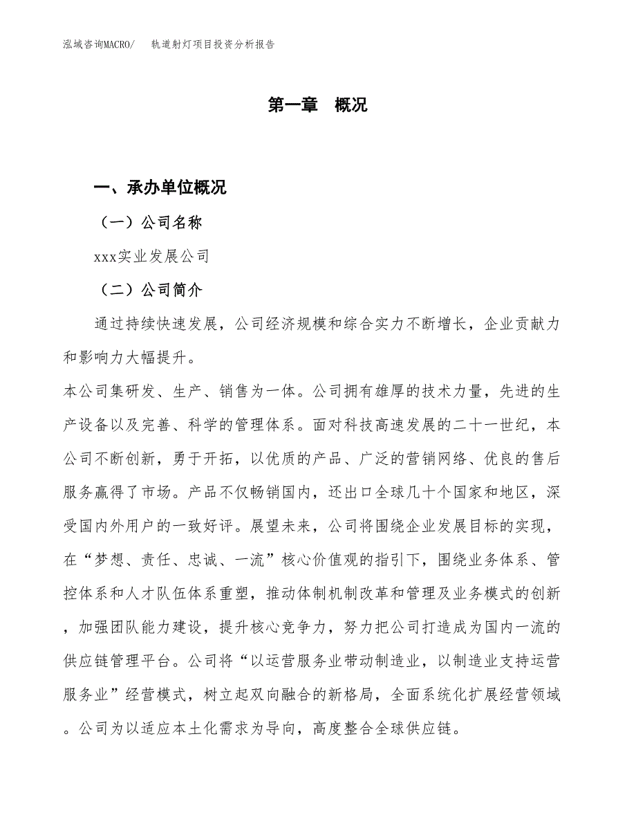 轨道射灯项目投资分析报告（投融资报告）.docx_第1页