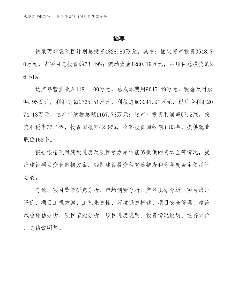 聚丙烯袋项目可行性研究报告标准模板.docx_第2页