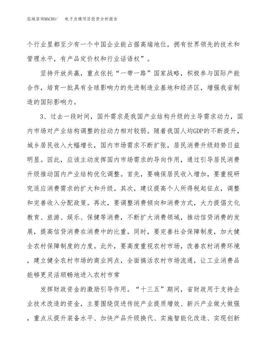 电子皮镜项目投资分析报告（投融资报告）.docx_第5页