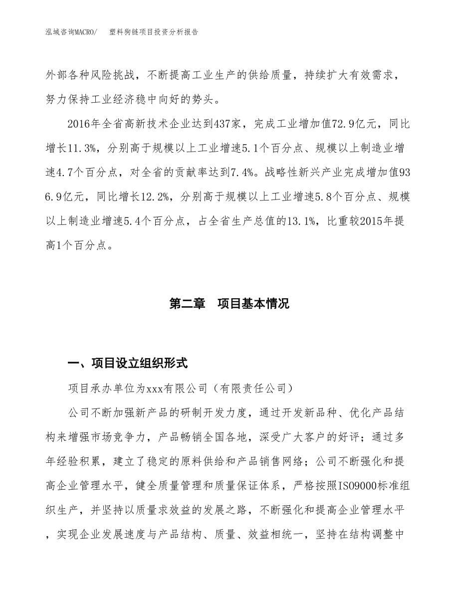 塑料狗链项目投资分析报告（投融资报告）.docx_第5页