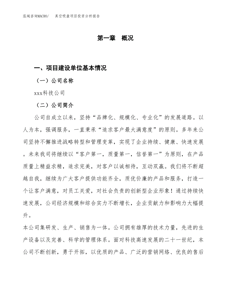 真空吸盘项目投资分析报告（投融资报告）.docx_第1页