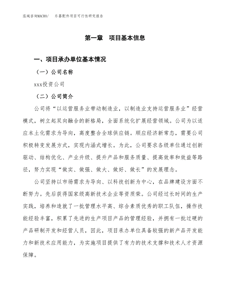 乐器配件项目可行性研究报告标准模板.docx_第4页