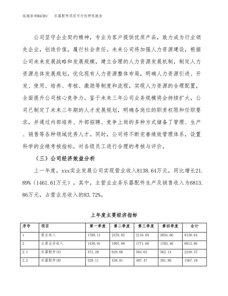 乐器配件项目可行性研究报告标准模板.docx_第5页