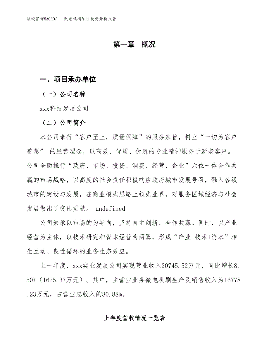 微电机刷项目投资分析报告（投融资报告）.docx_第1页