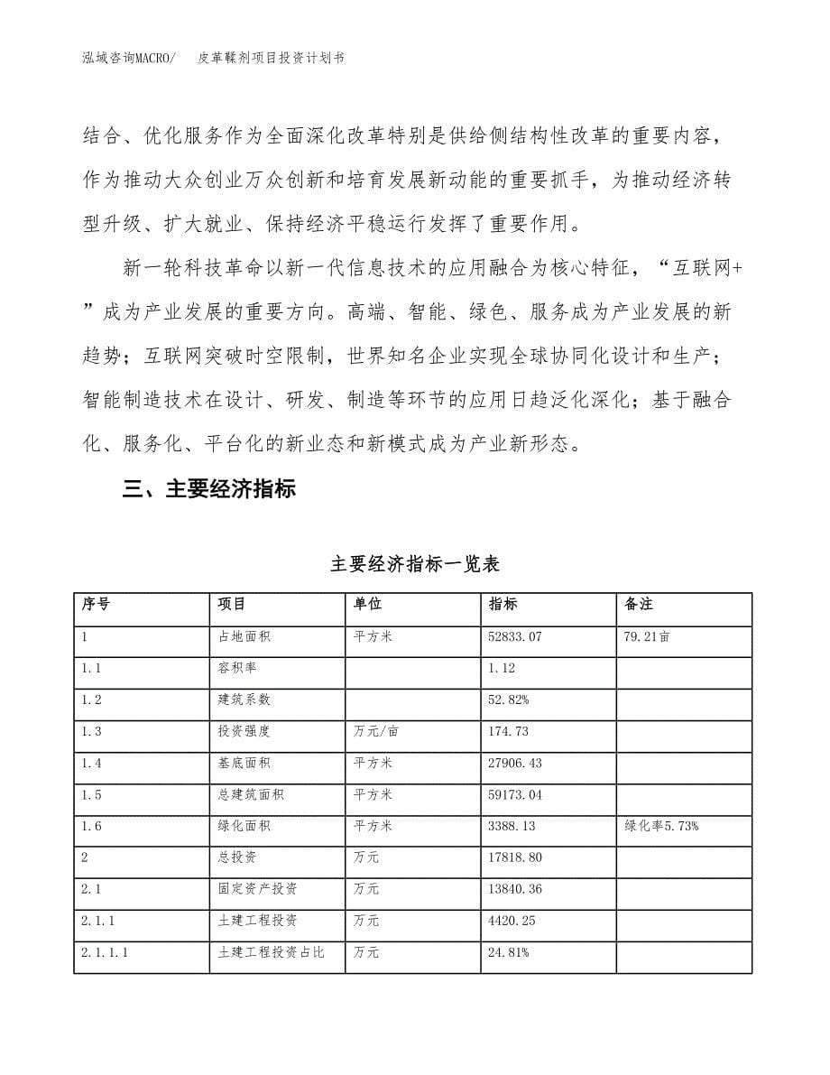 皮革鞣剂项目投资计划书(融资报告).docx_第5页