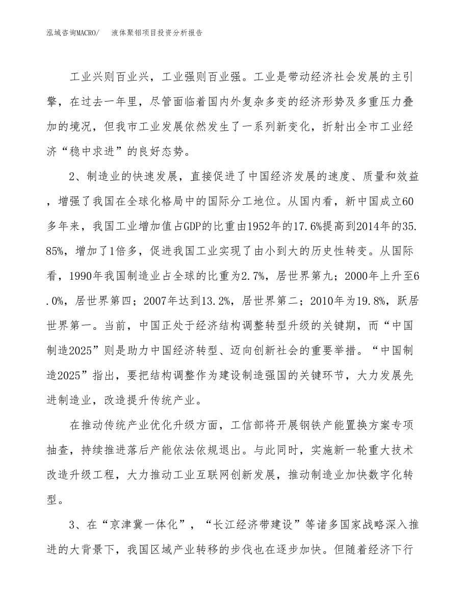 液体聚铝项目投资分析报告（投融资报告）.docx_第5页