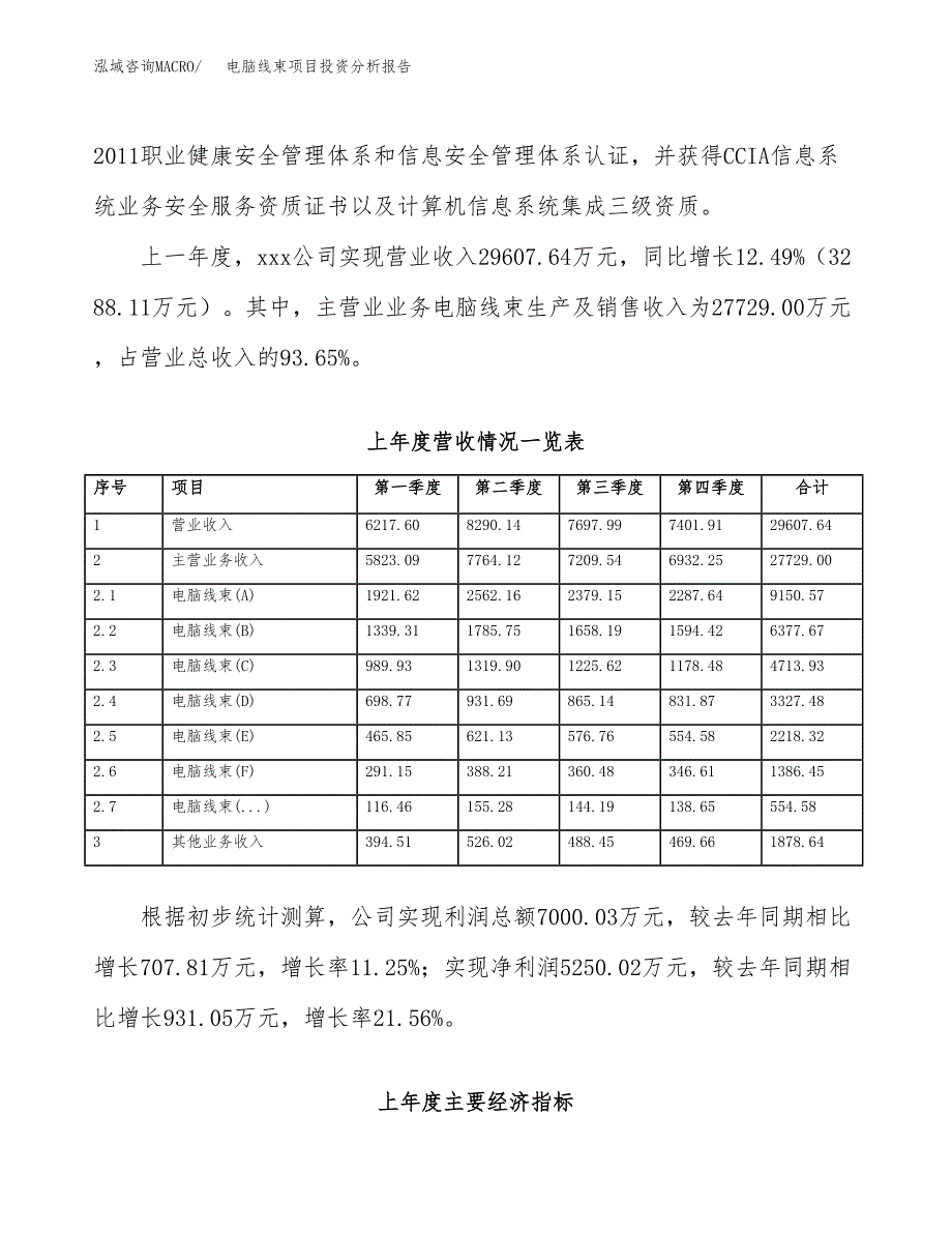 电脑线束项目投资分析报告（投融资报告）.docx_第2页