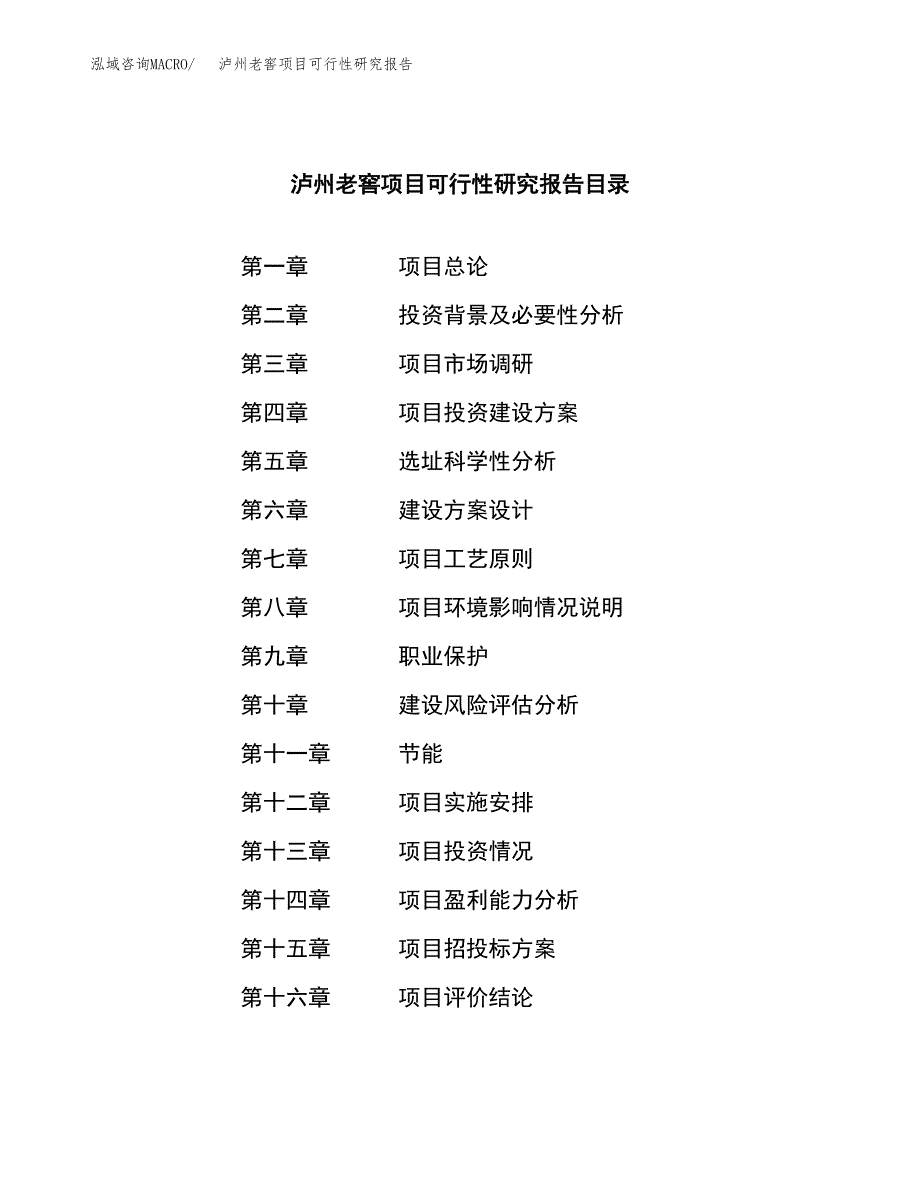 泸州老窖项目可行性研究报告标准模板.docx_第4页