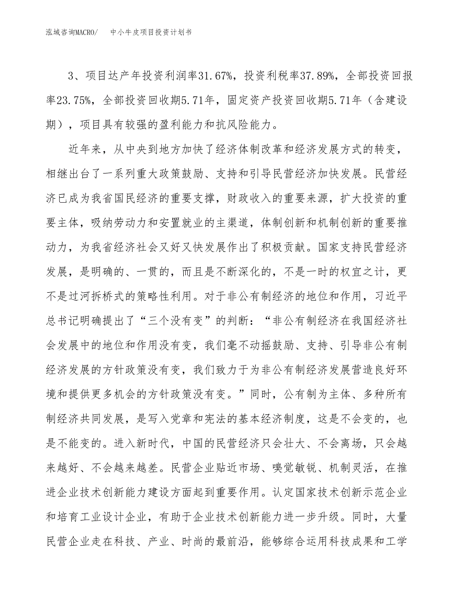 中小牛皮项目投资计划书(融资报告).docx_第4页