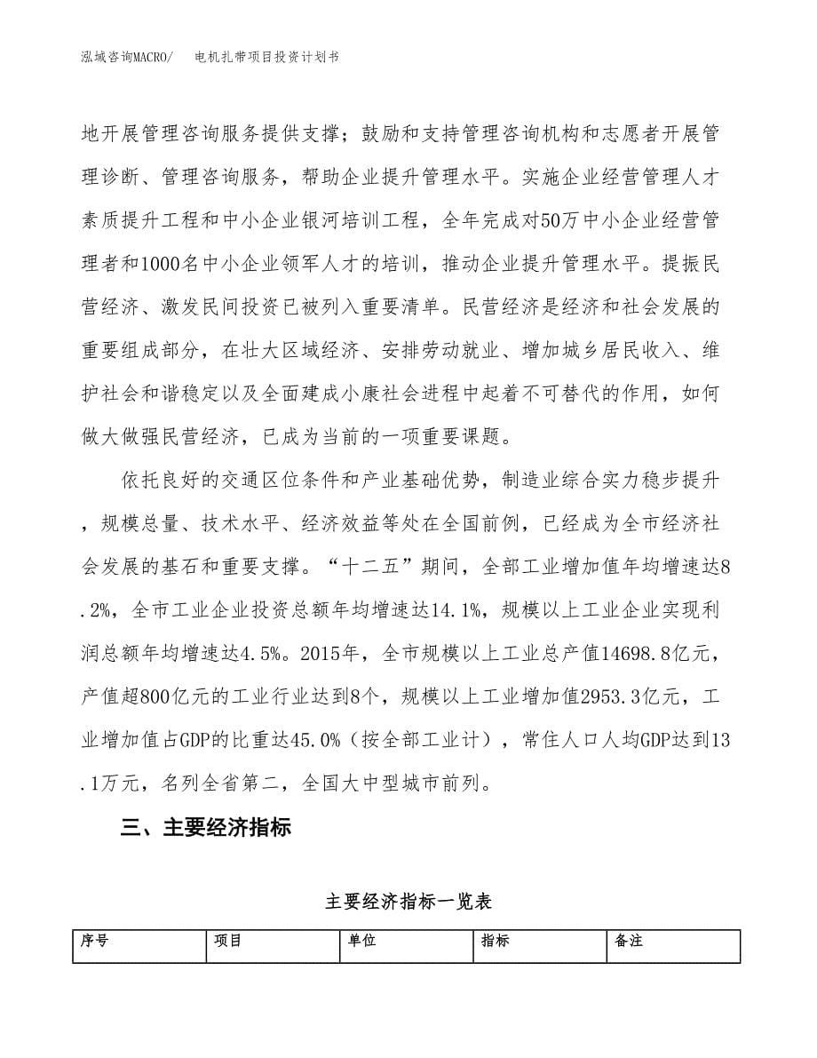 电机扎带项目投资计划书(融资报告).docx_第5页