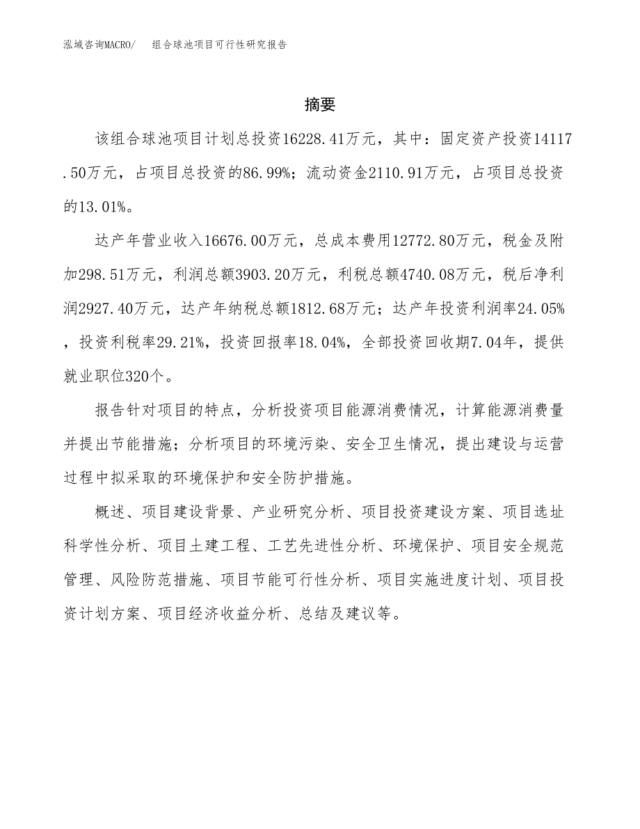 组合球池项目可行性研究报告标准模板.docx_第2页