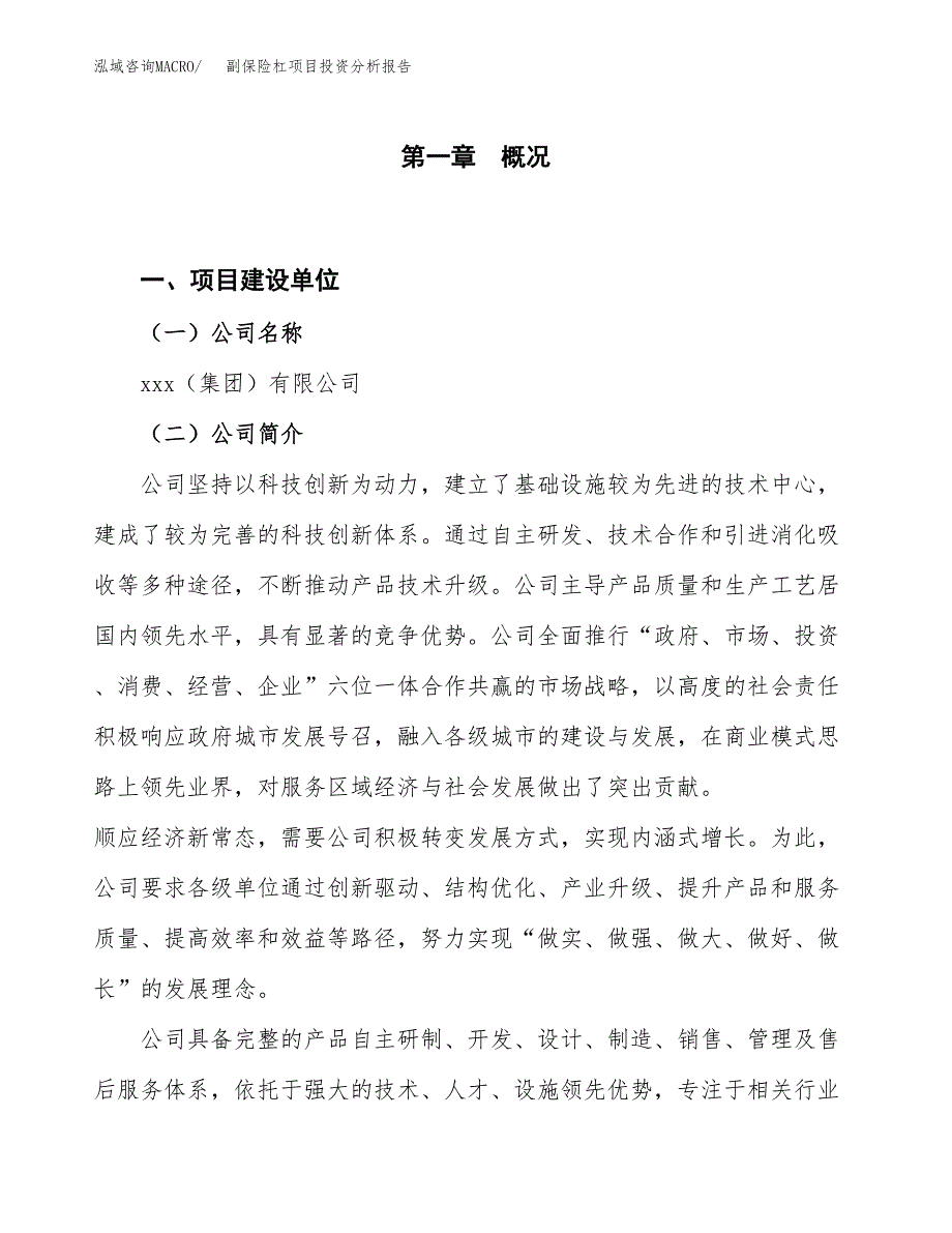 副保险杠项目投资分析报告（投融资报告）.docx_第1页