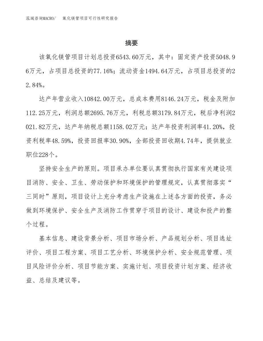 氧化镁管项目可行性研究报告标准模板.docx_第2页