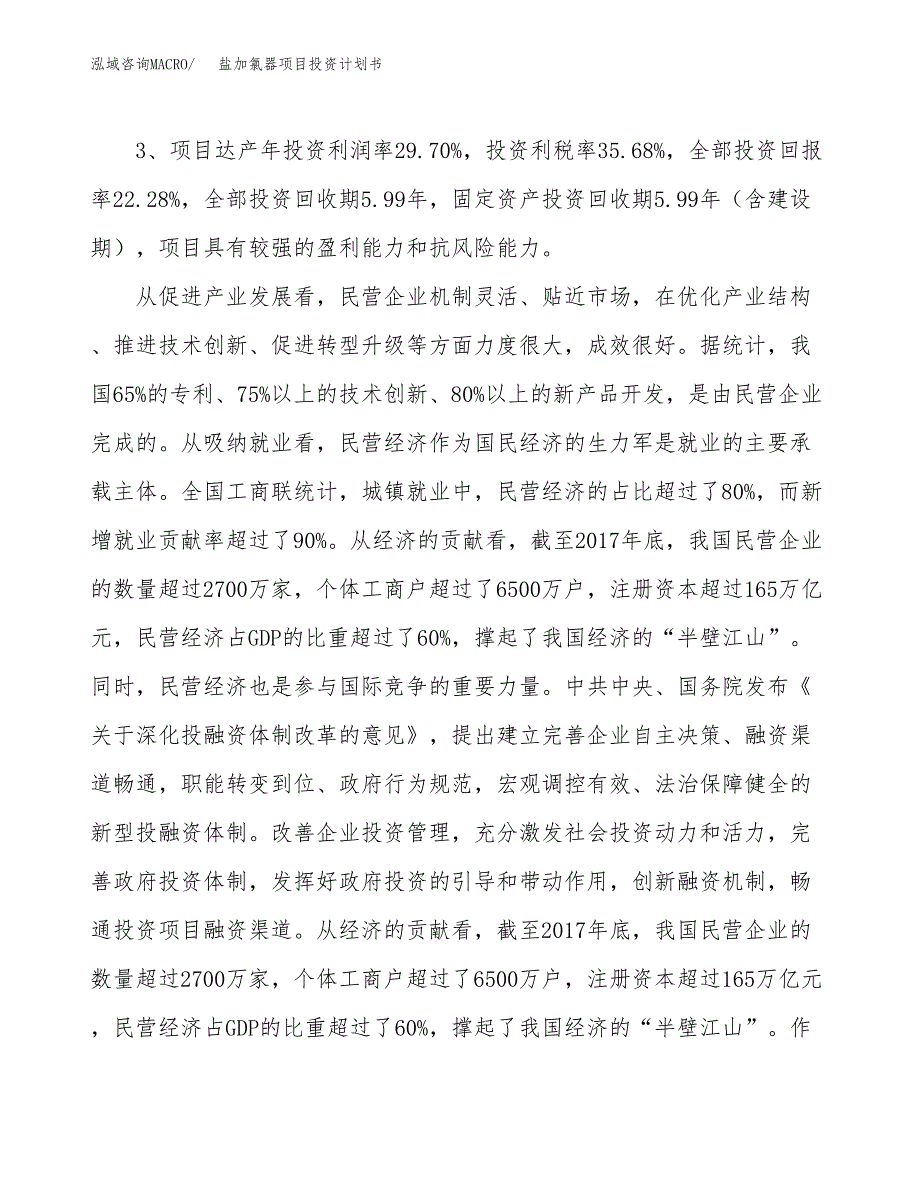 盐加氯器项目投资计划书(融资报告).docx_第4页