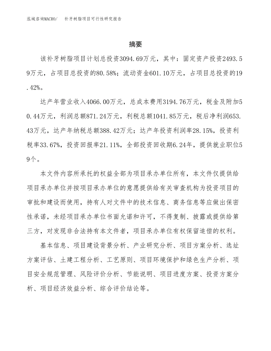 补牙树脂项目可行性研究报告标准模板.docx_第2页