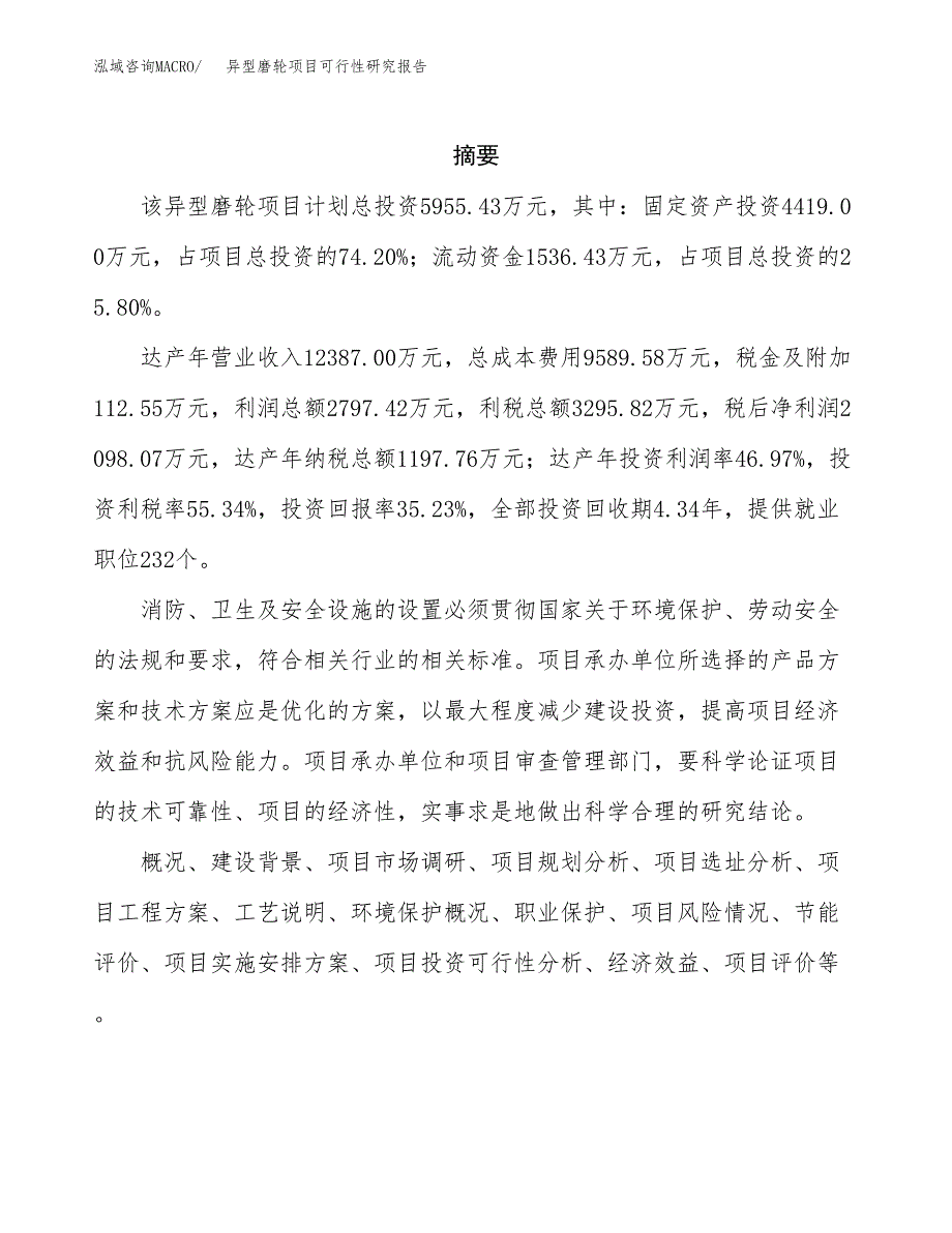 异型磨轮项目可行性研究报告标准模板.docx_第2页