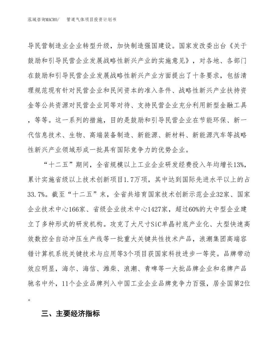 管道气体项目投资计划书(融资报告).docx_第5页