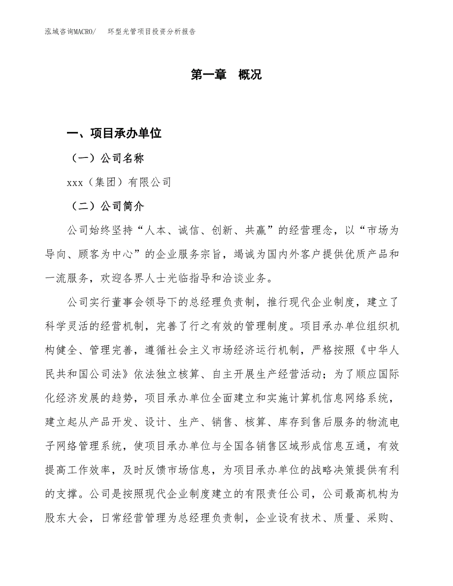 环型光管项目投资分析报告（投融资报告）.docx_第1页