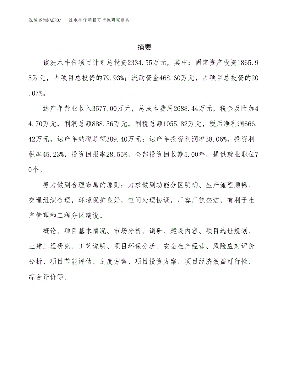 洗水牛仔项目可行性研究报告标准模板.docx_第2页