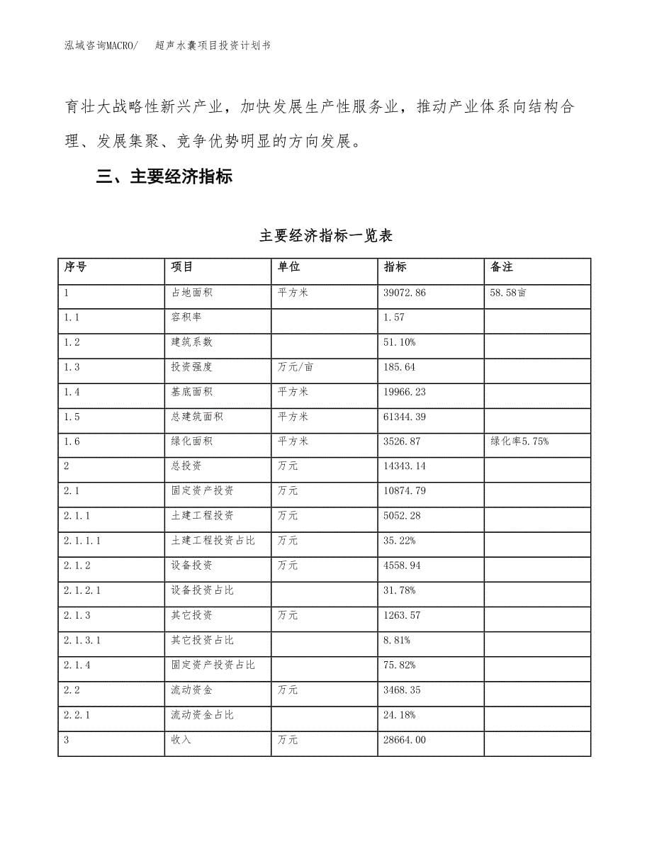 超声水囊项目投资计划书(融资报告).docx_第5页