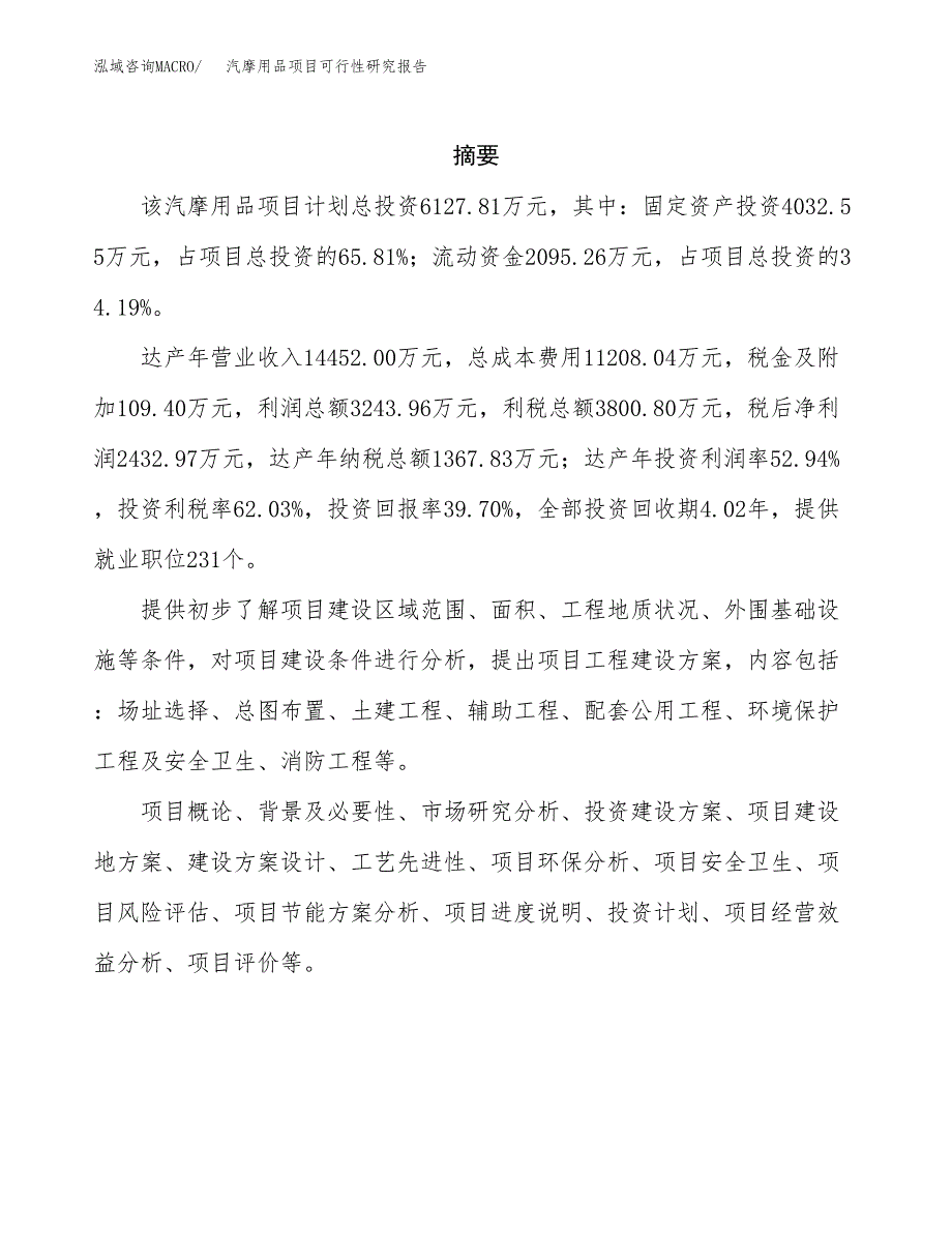 汽摩用品项目可行性研究报告标准模板.docx_第2页