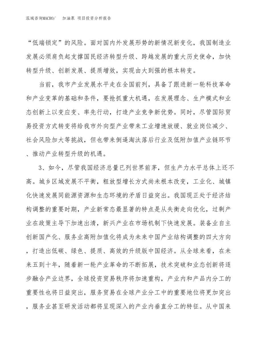 加油泵 项目投资分析报告（投融资报告）.docx_第5页