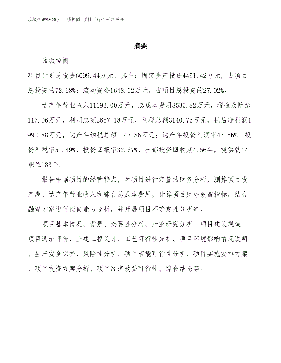 锁控阀 项目可行性研究报告标准模板.docx_第2页