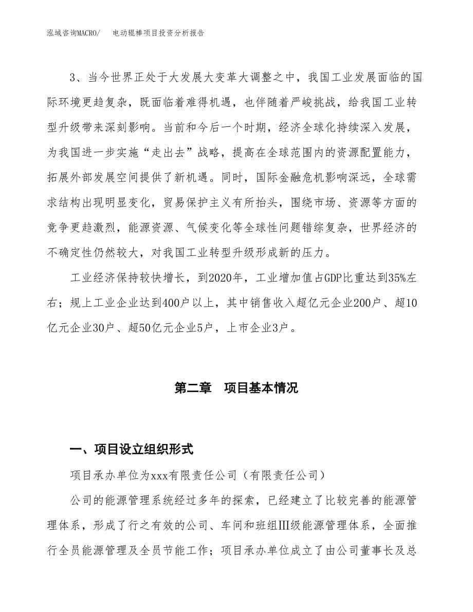 电动辊棒项目投资分析报告（投融资报告）.docx_第5页