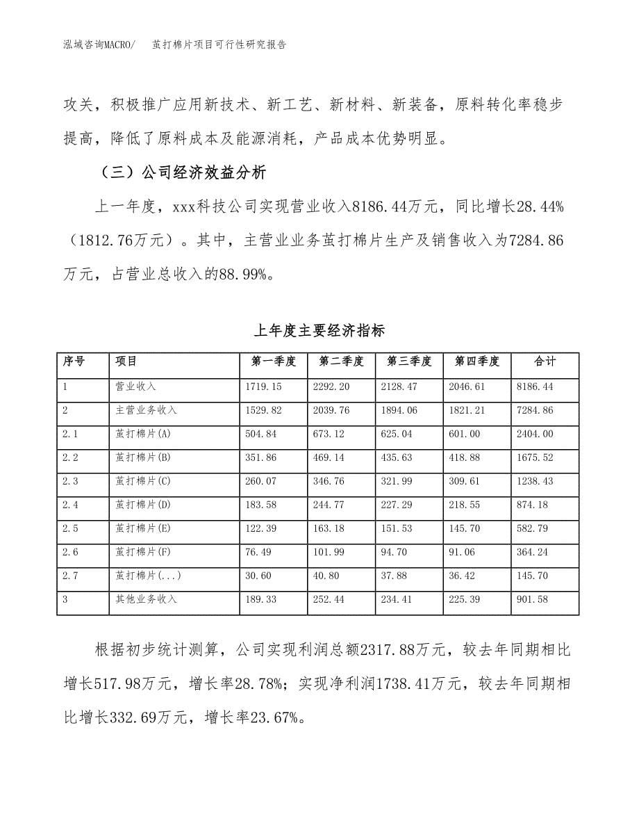 茧打棉片项目可行性研究报告标准模板.docx_第5页