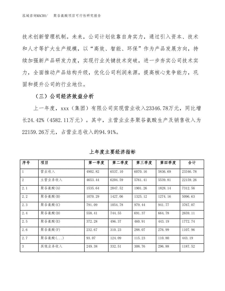 聚谷氨酸项目可行性研究报告标准模板.docx_第5页