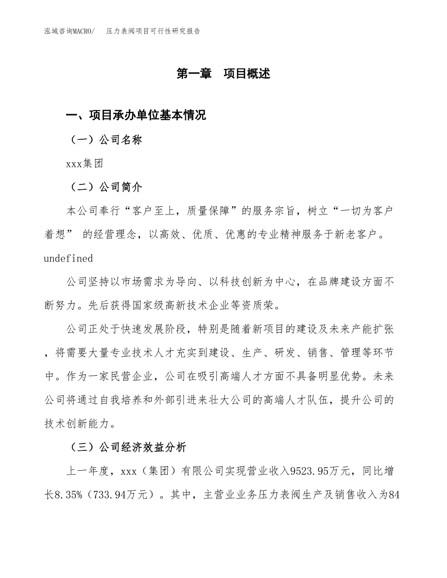 压力表阀项目可行性研究报告标准模板.docx_第4页