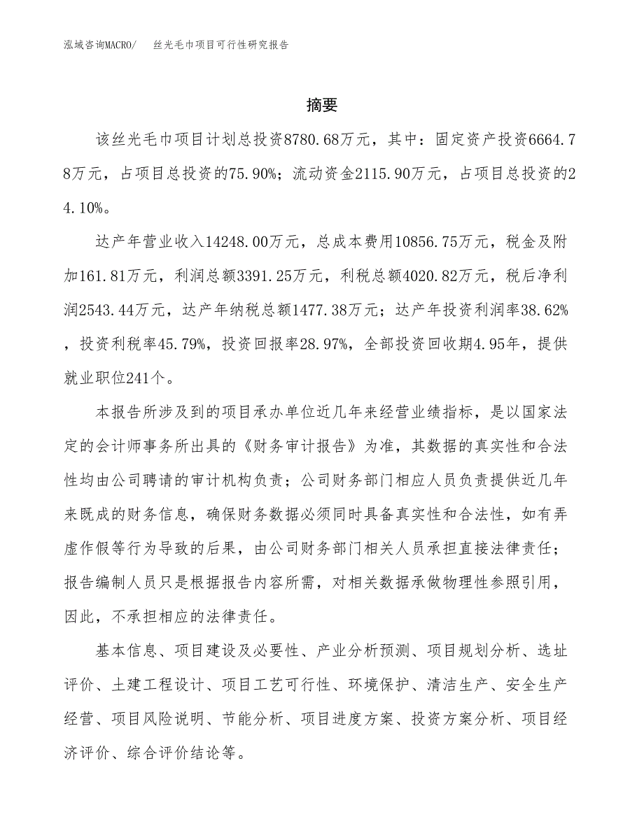 丝光毛巾项目可行性研究报告标准模板.docx_第2页