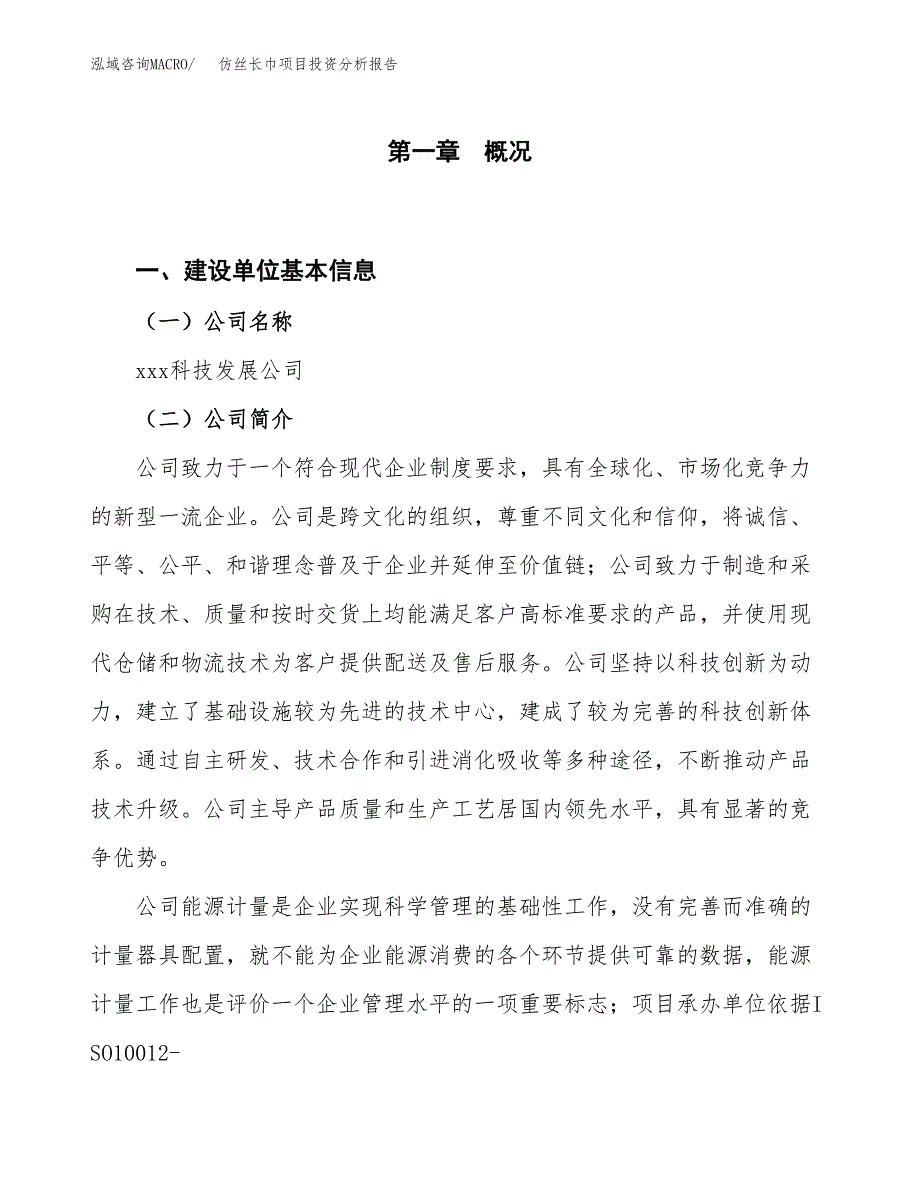 仿丝长巾项目投资分析报告（投融资报告）.docx_第1页