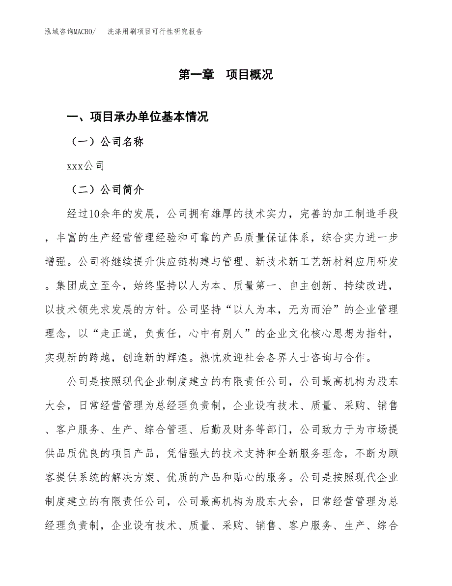 洗涤用刷项目可行性研究报告标准模板.docx_第4页