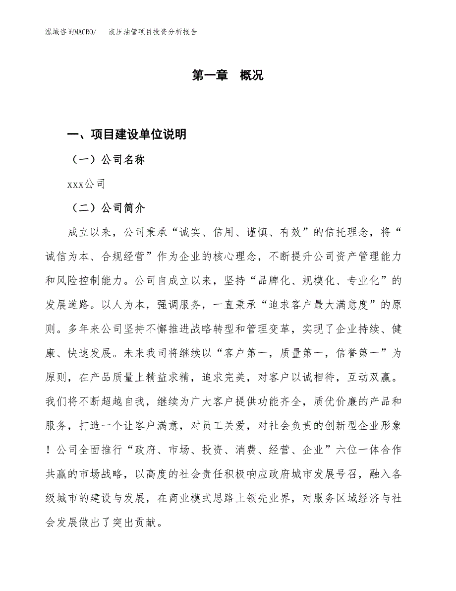 液压油管项目投资分析报告（投融资报告）.docx_第1页