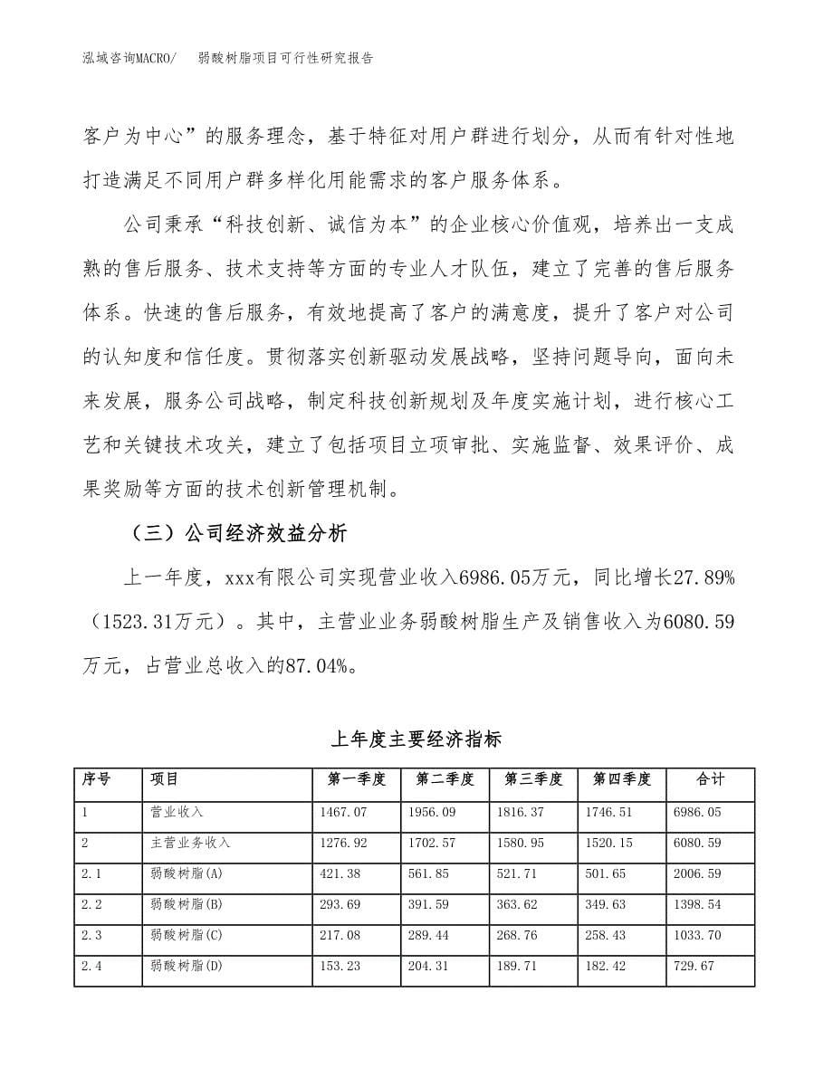 弱酸树脂项目可行性研究报告标准模板.docx_第5页