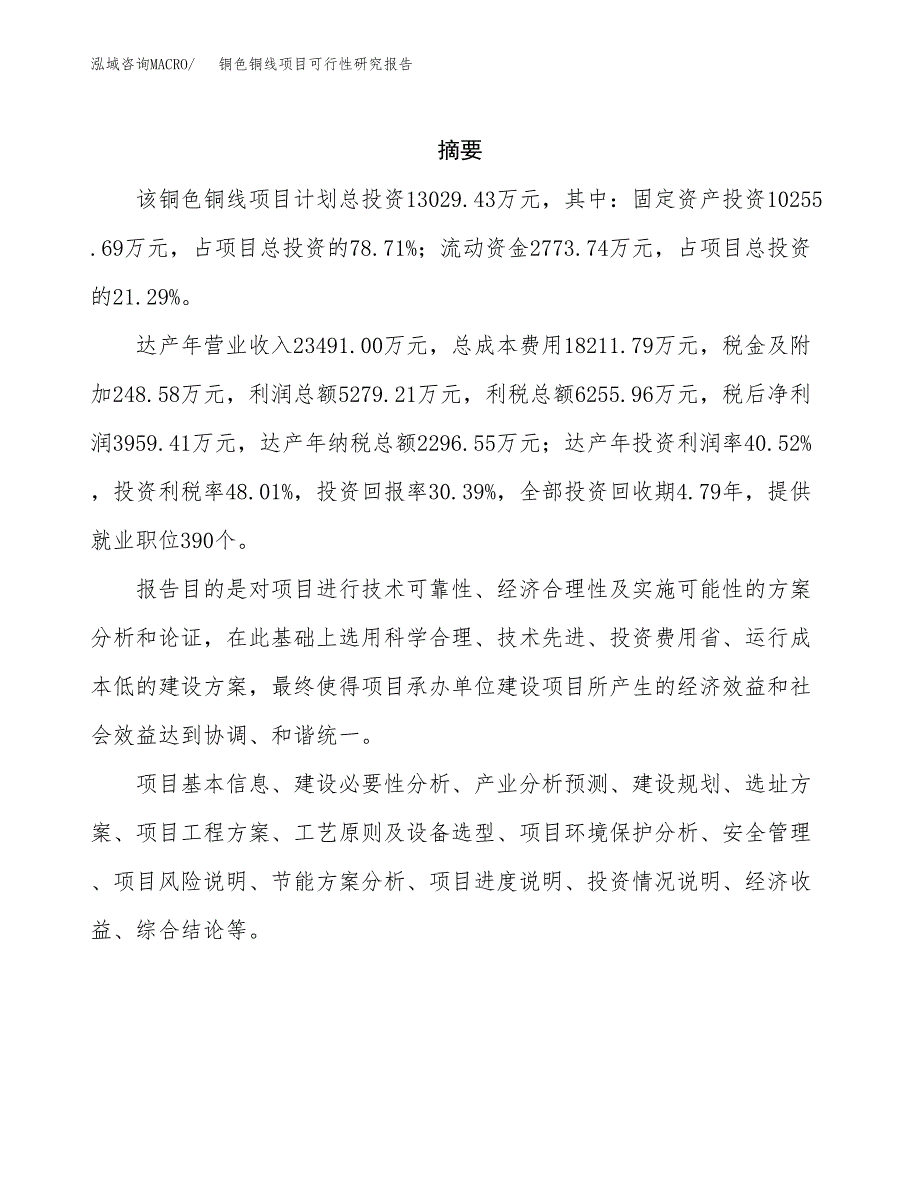 铜色铜线项目可行性研究报告标准模板.docx_第2页