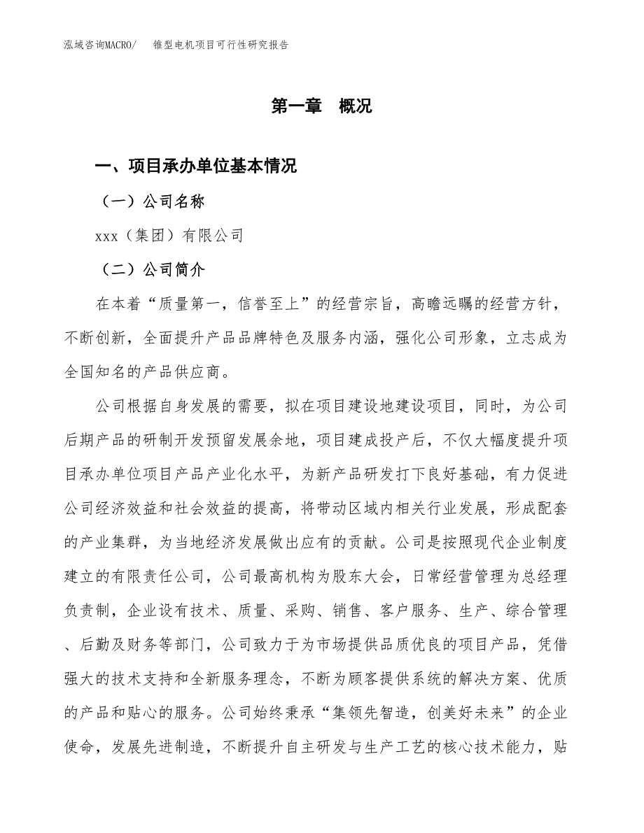 锥型电机项目可行性研究报告标准模板.docx_第4页