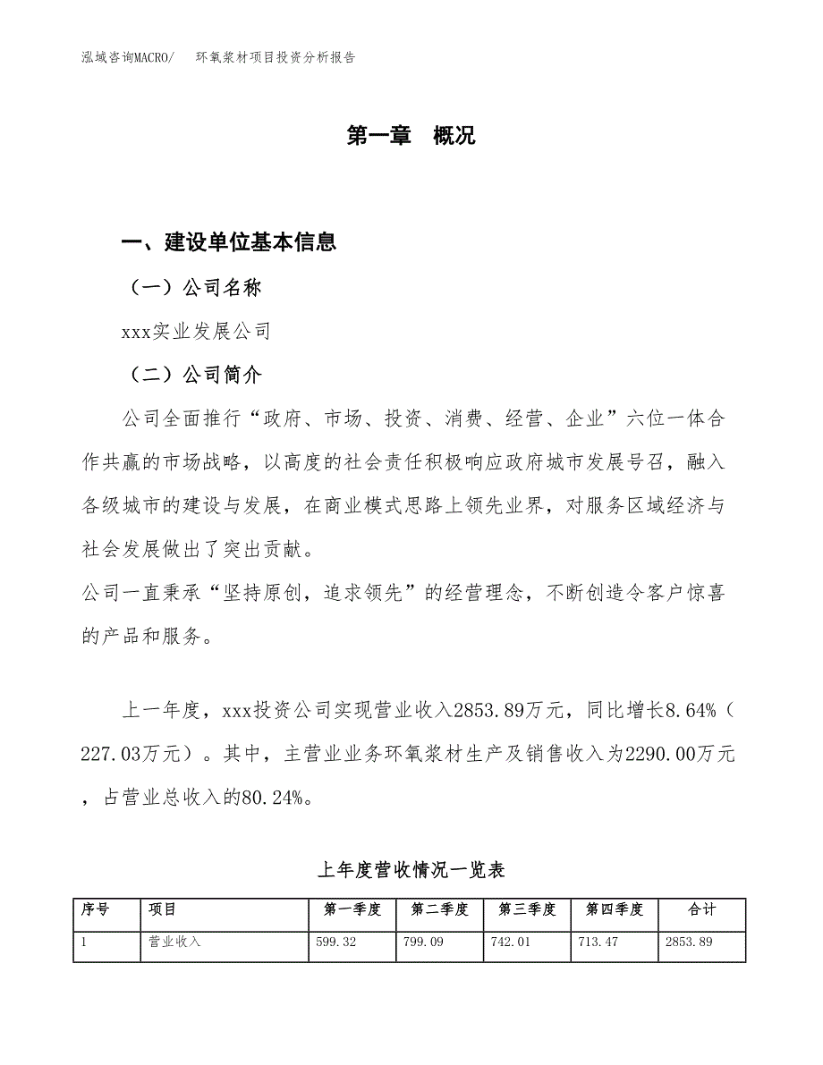 环氧浆材项目投资分析报告（投融资报告）.docx_第1页