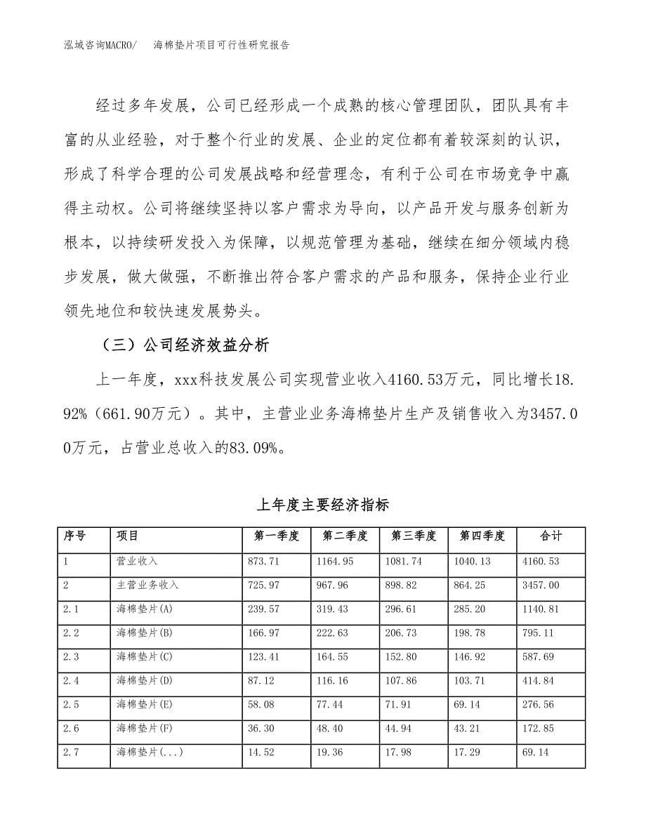 海棉垫片项目可行性研究报告标准模板.docx_第5页