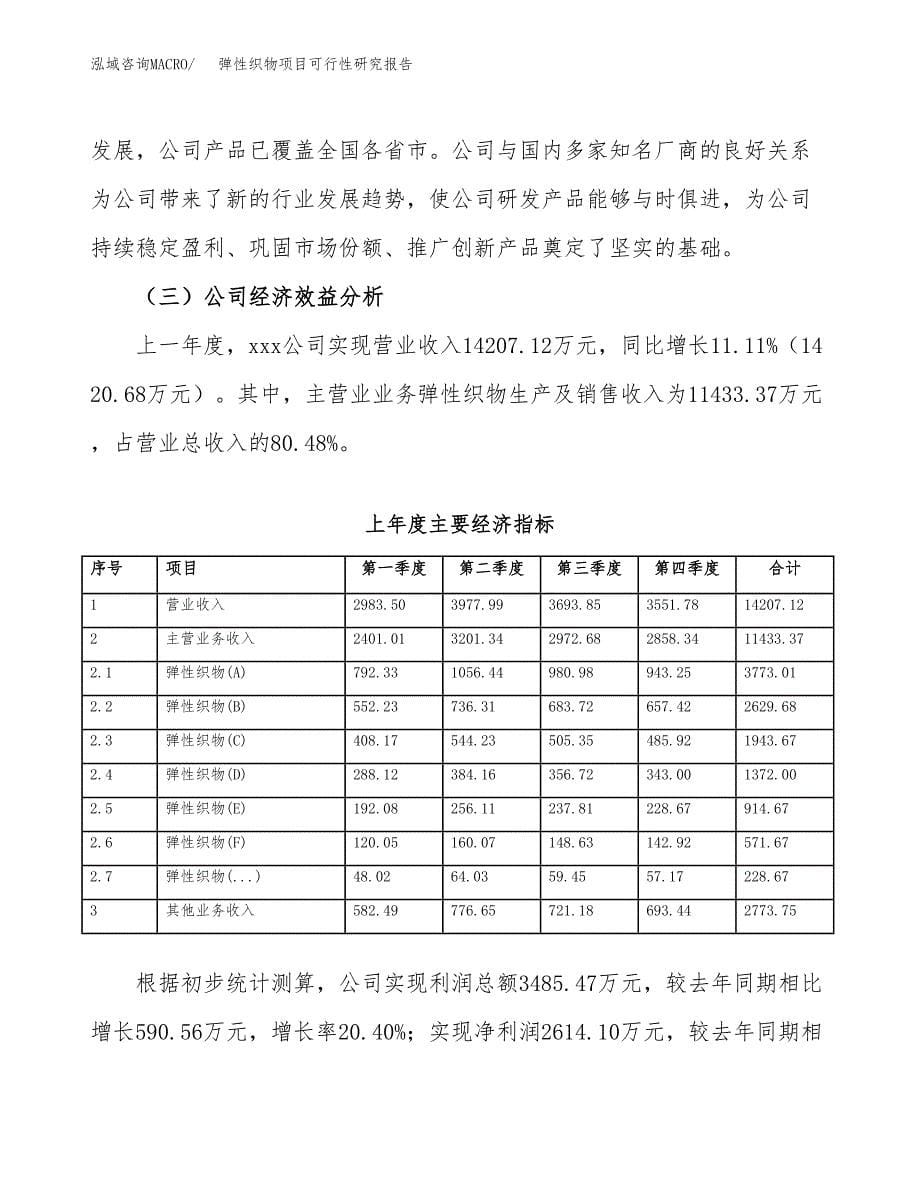 弹性织物项目可行性研究报告标准模板.docx_第5页