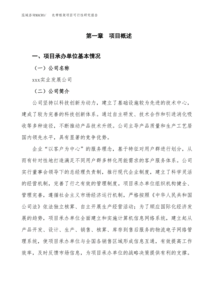 色带框架项目可行性研究报告标准模板.docx_第4页