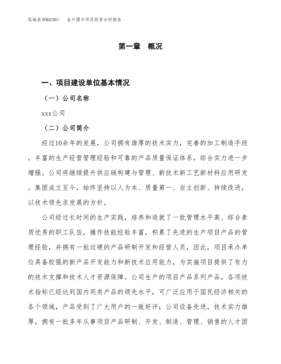 金片围巾项目投资分析报告（投融资报告）.docx_第1页