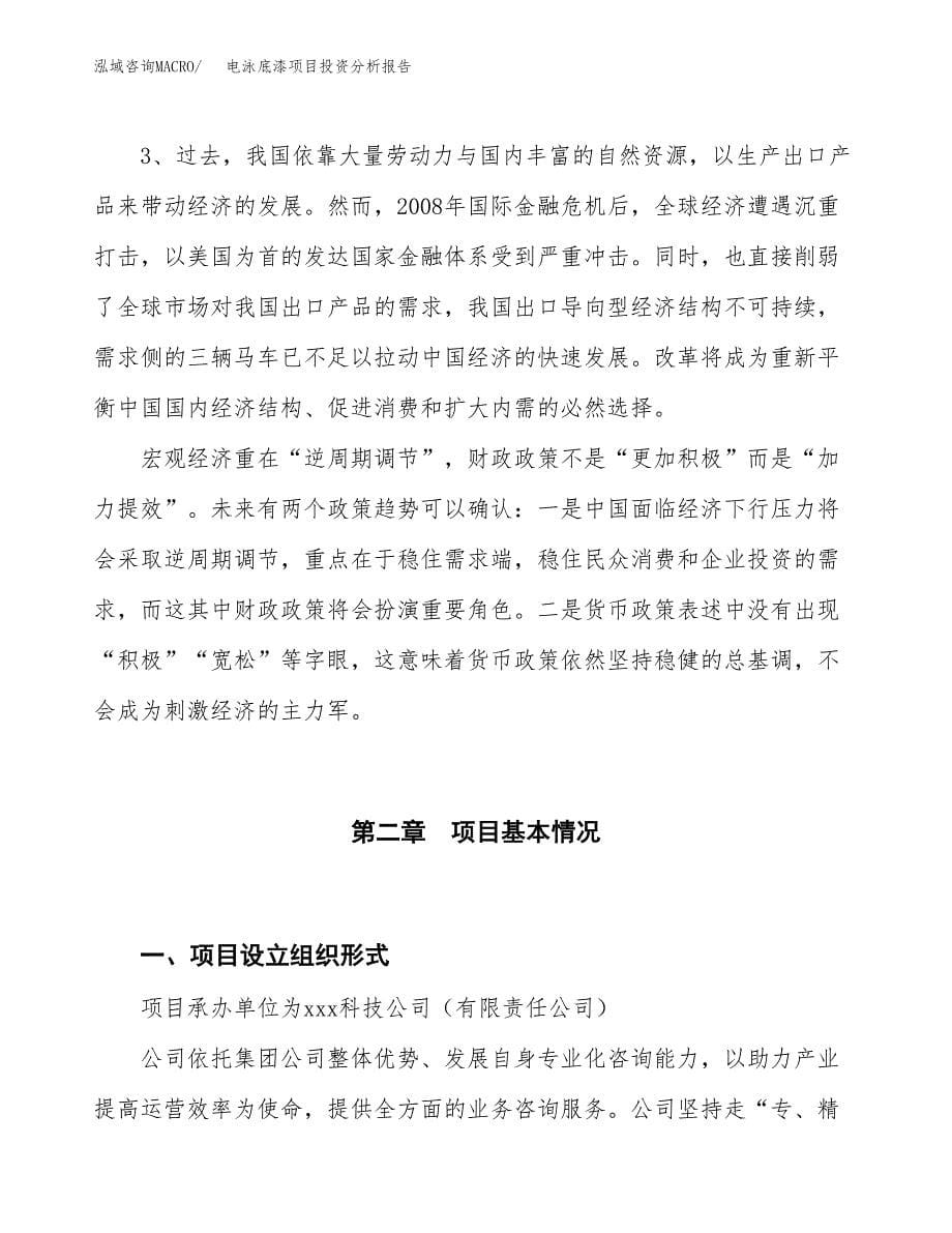 电泳底漆项目投资分析报告（投融资报告）.docx_第5页